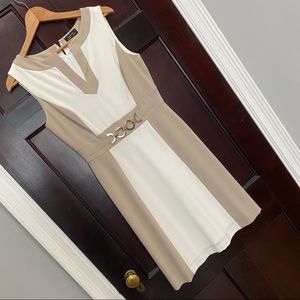 Like New! Tahari Colorblock Professional Dress